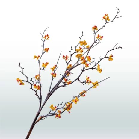 Boomwurger 110cm Oranje