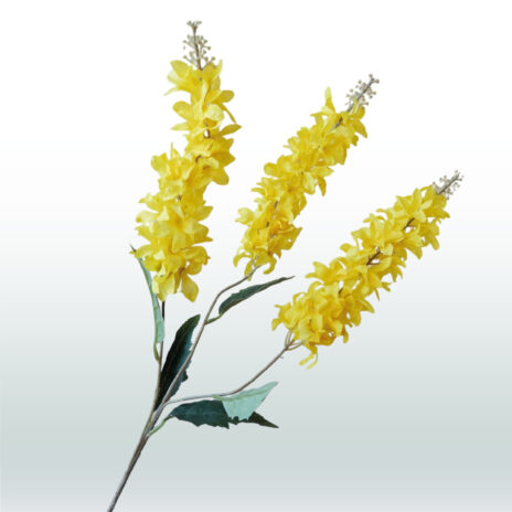 Ridderspoor Delphinium Drietak 82cm - Geel