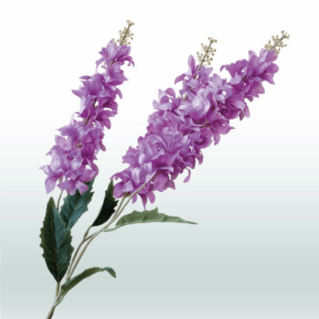Ridderspoor Delphinium Drietak 82cm - Paars (licht)