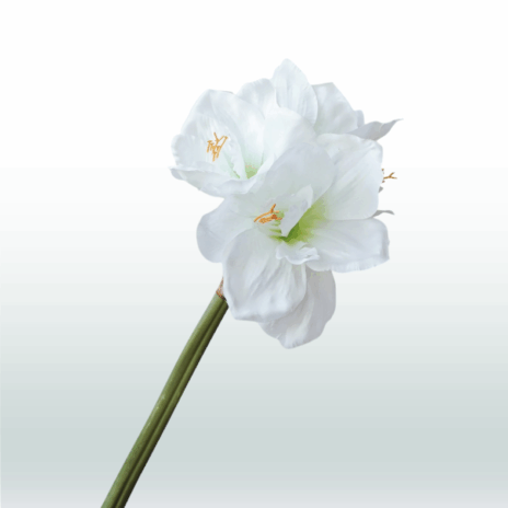 Amarylis 67cm - Wit