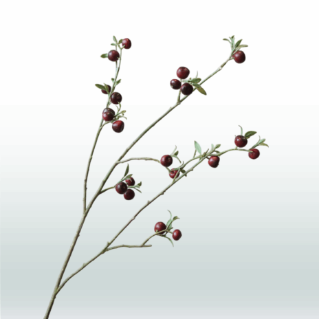 Appeltak 70 cm - Rood (donker)