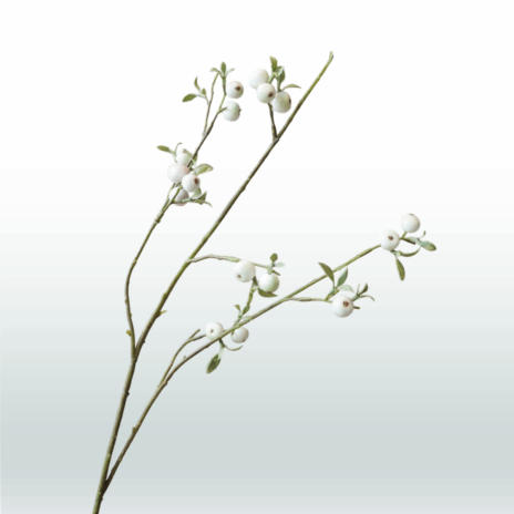 Appeltak 70 cm - Wit