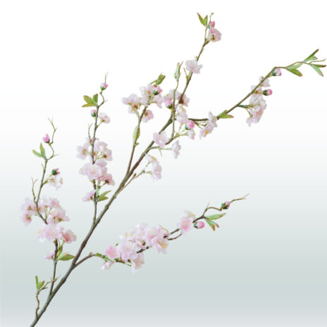 Perzik bloesemtak 120cm - Roze (licht)