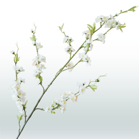 Perzik bloesemtak 120cm - Wit