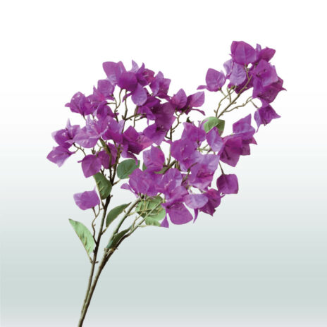 Bougainvillea 98cm - Paars (donker)
