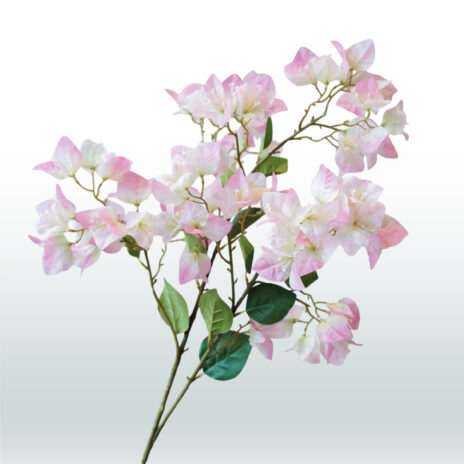 Bougainvillea 98cm - Roze (licht)