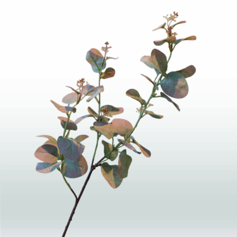 Eucalyptustak 70 cm - Bruin