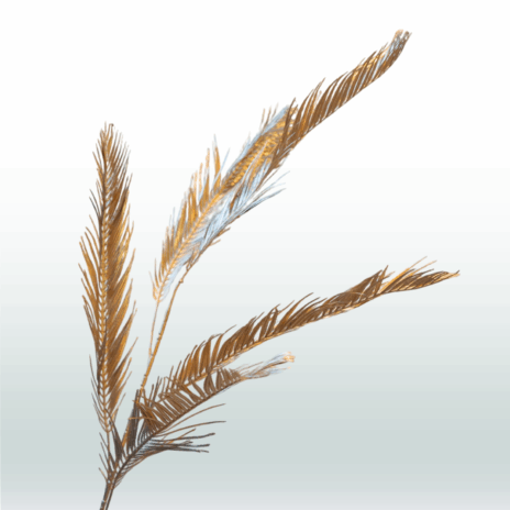 Folium Cycas 80cm Goud