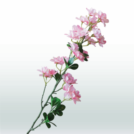 Jasmijn Bloesem 80cm - Roze (licht)