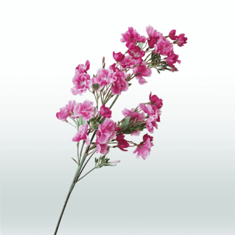 Kersen bloesemtak 91cm - Paars (donker)