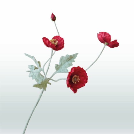 Klaproos 57cm - Rood (donker)