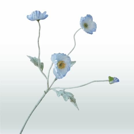 Klaproos 57cm - Blauw (licht)