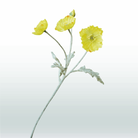 Klaproos 57cm - Geel