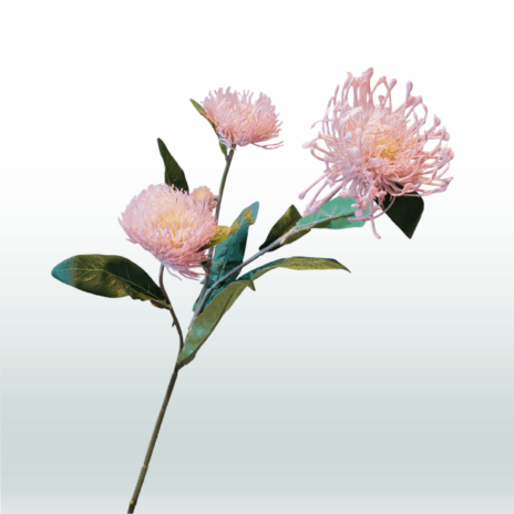 Nutans 64cm - Roze (licht)