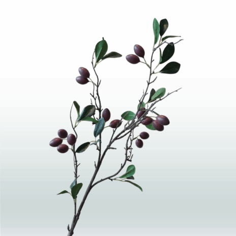 Olijftak 90cm - Bruin