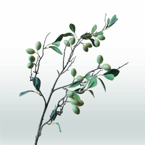 Olijftak 90cm - Groen