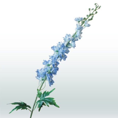 Ridderspoor Delphinium 106cm - Blauw