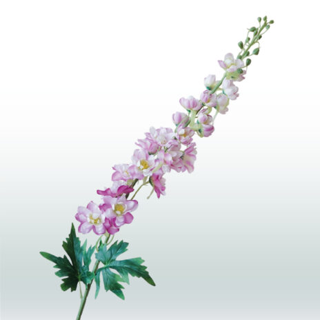 Ridderspoor Delphinium 106cm - Paars (licht)