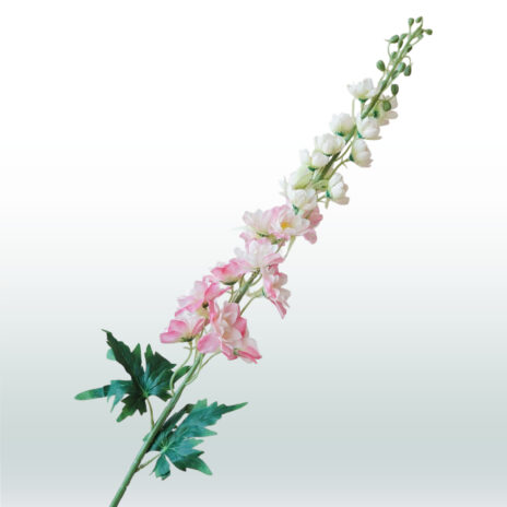 Ridderspoor Delphinium 106cm - Roze (licht)