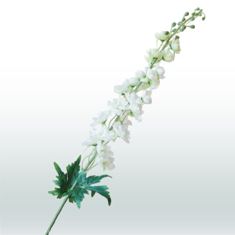 Ridderspoor Delphinium 106cm - Wit