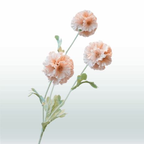 Scabiosa 68cm - Beige