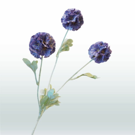 Scabiosa 68cm - Paars (donker)