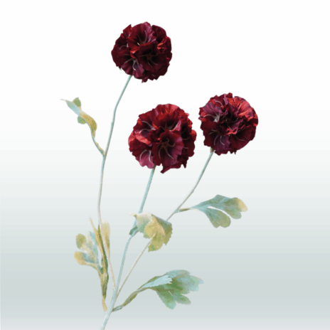 Scabiosa 68cm - Rood (donker)