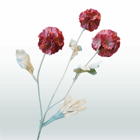 Scabiosa 68cm - Rood