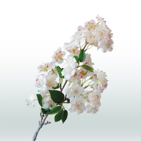 Bloesemtak Perzik 58cm - Wit