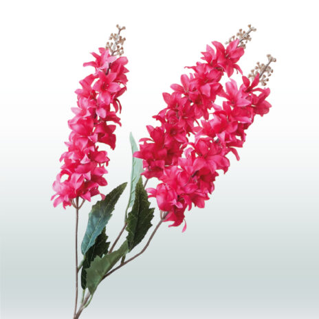 Ridderspoor Delphinium Drietak 82cm - Roze (donker)