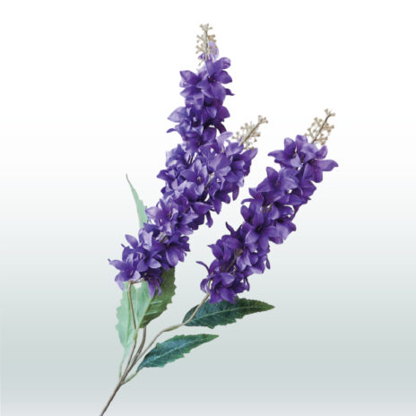 Ridderspoor Delphinium Drietak 82cm - Paars (donker)