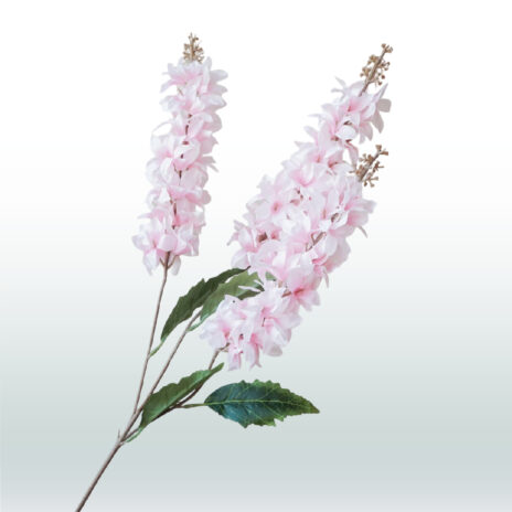 Ridderspoor Delphinium Drietak 82cm - Roze (licht)