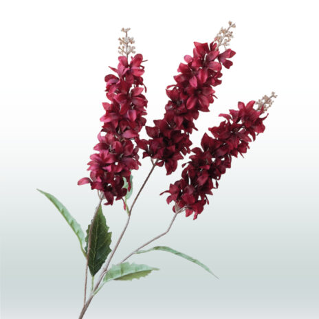 Ridderspoor Delphinium Drietak 82cm - Rood