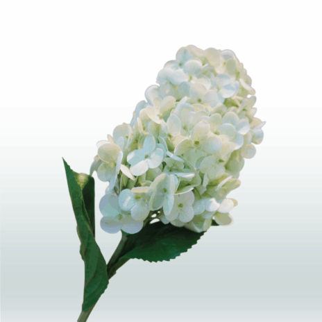 Hortensia Pluim 70cm - Groen (licht)