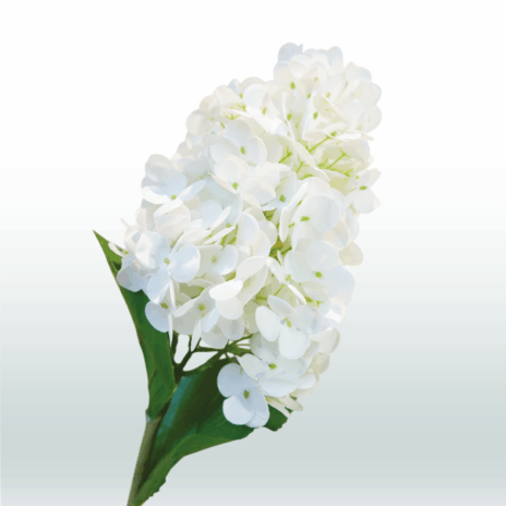 Hortensia Pluim 70cm - Wit