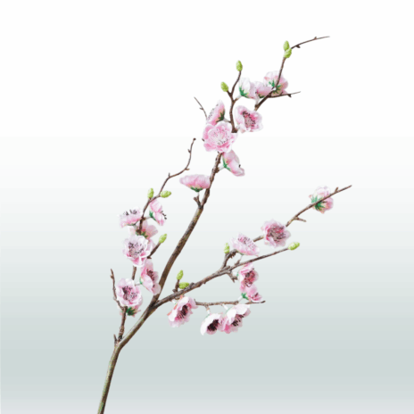 Japanse Sierkers 75cm - Paars (licht)