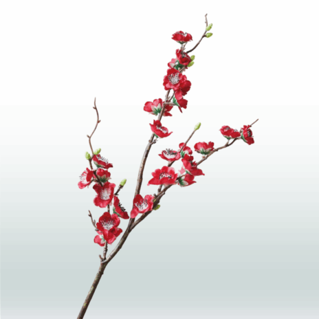 Japanse Sierkers 75cm - Rood