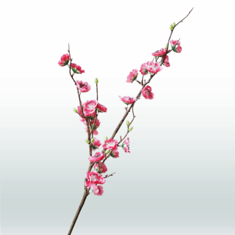 Japanse Sierkers 75cm - Roze (donker)