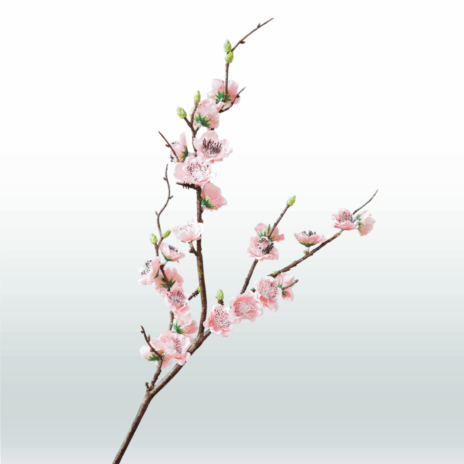 Japanse Sierkers 75cm - Roze (licht)