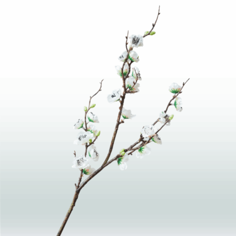 Japanse Sierkers 75cm - Wit