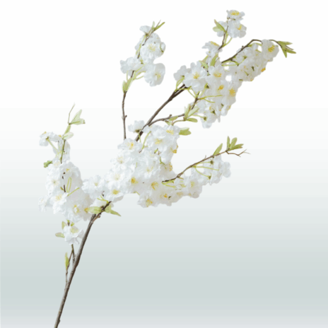 Kersen bloesemtak 120cm - Wit