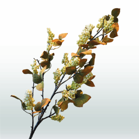 Lucky Fruit Autumn 120cm - Wit