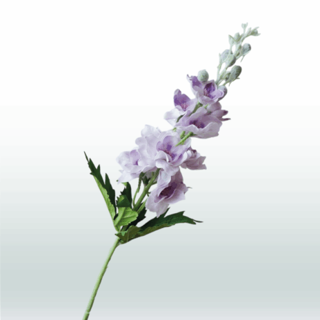 Ridderspoor 80cm - Paars (licht)