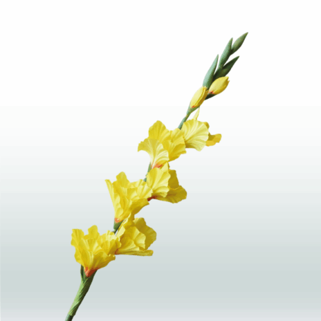 Gladiool 82cm - Geel