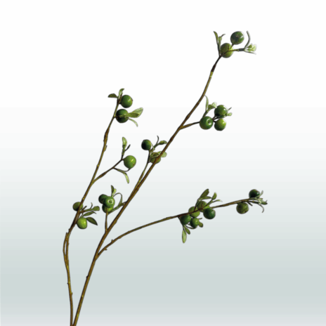 Appeltak 70 cm - Groen