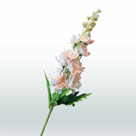 Ridderspoor 80cm - Champagne